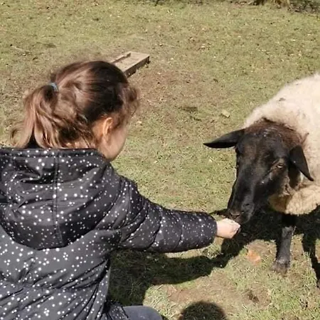 La Chaumiere Aux Animaux * Touffreville-la-Corbeline