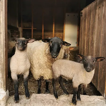 La Chaumiere Aux Animaux *