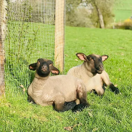 La Chaumiere Aux Animaux בית נופש *